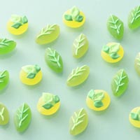 糖蜜ボンボン こい茶&うす茶